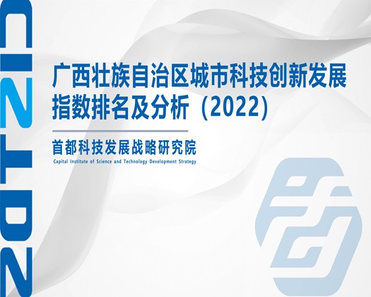 捅插视频【成果发布】广西壮族自治区城市科技创新发展指数排名及分析（2022）